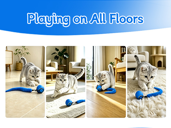 interactive automatic cat toy ball