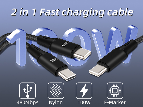 100W USB C Splitter Cable