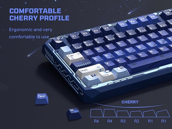 CHERRY PROFILE