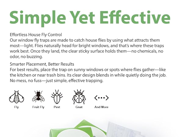 Window fly trap