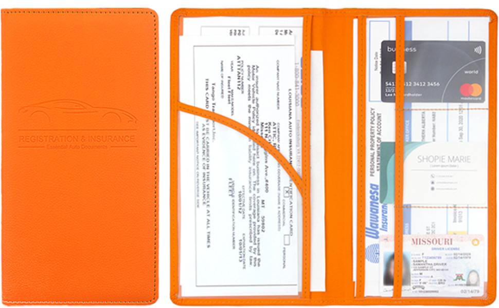 car registration and insurance holder