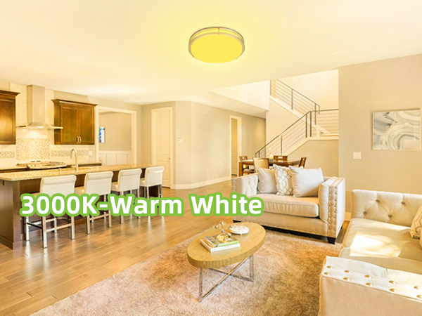 Flush Mount LED Ceiling Light Fixture