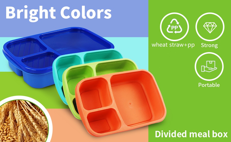 Our lunch boxes are available in 3-compartment