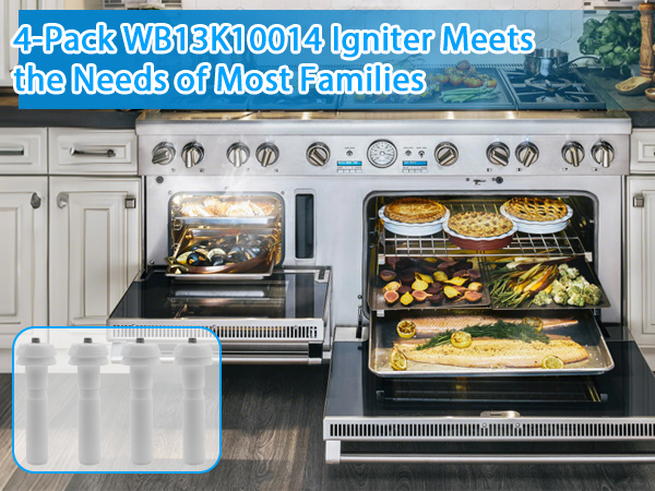 WB13K10014 Electrode Kit