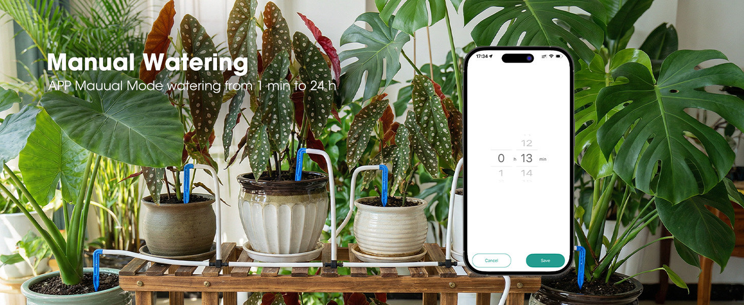 plant automatic watering devices