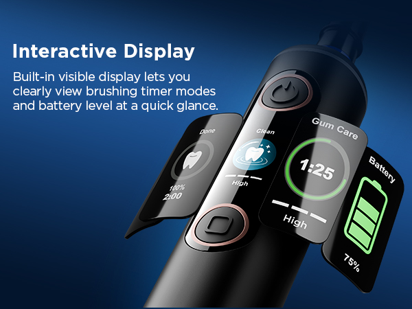 Electric Toothbrush for Adults