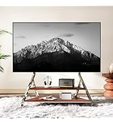 Stainless Steel Art Rolling TV Cart with Wheels, Mobile TV Stand for 50-100 Inch TVs, Heavy Duty ...