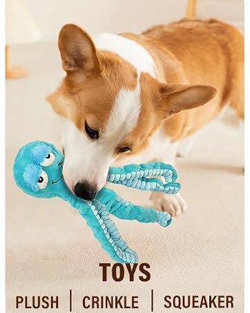 octopus dog toys