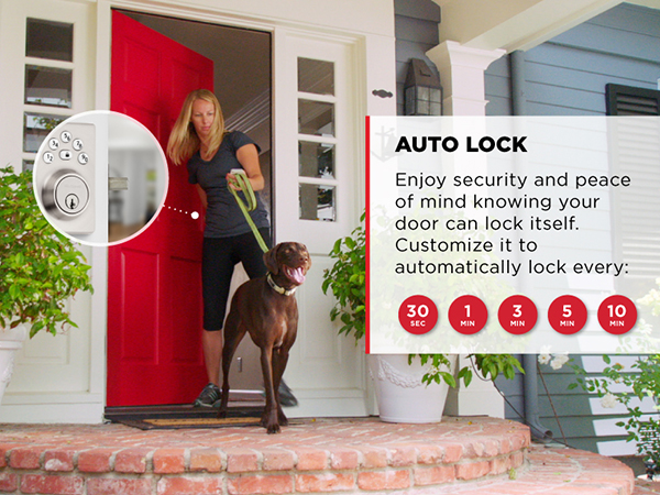 powerbolt 240 electronic door lock