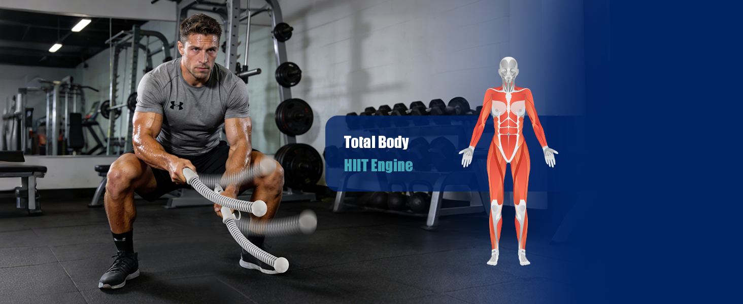 battle ropes ropeless