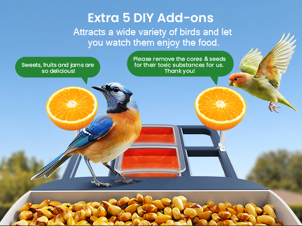 bird feeder with camera outside