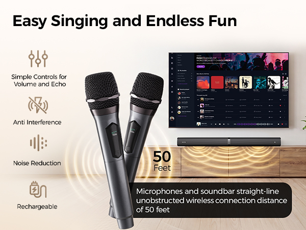 Two karaoke Wireless Microphones