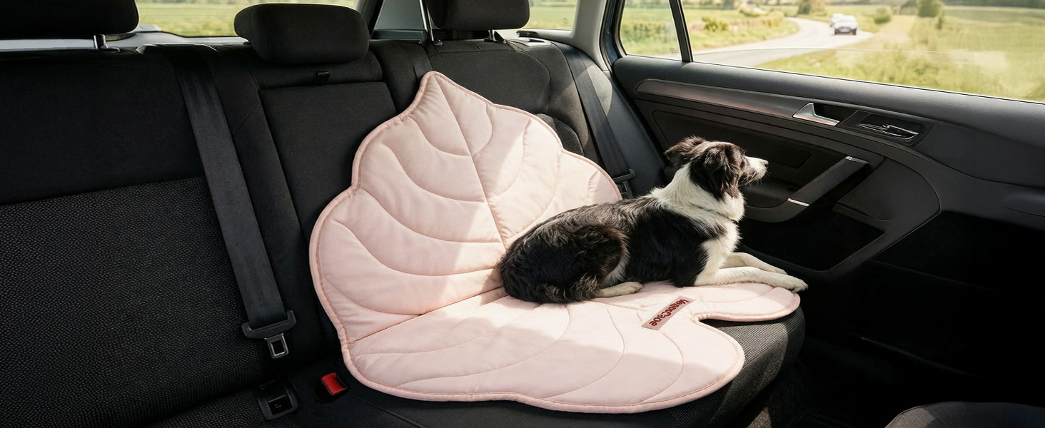 Dog Mats for Travel