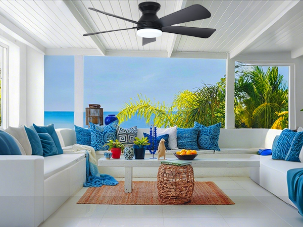 small ceiling fan with light