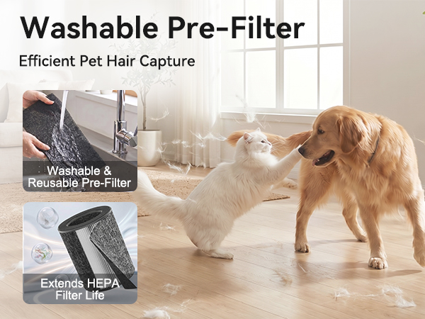 washable filter