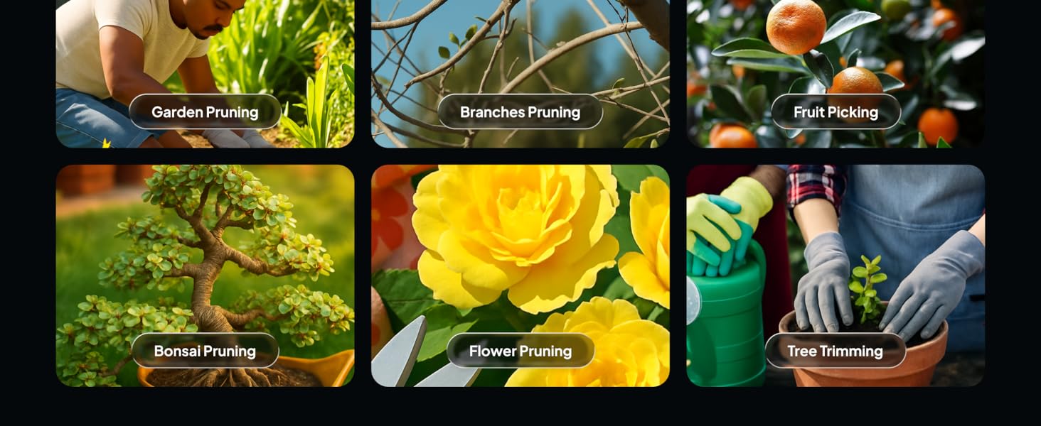 Pruning Shears and Clippers