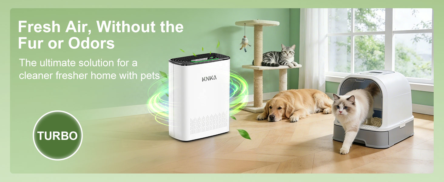 air purifier