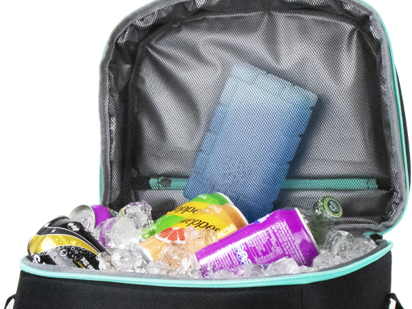 travel cooler bag for airplane