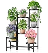 NQW 8 Tiered Plant Stand Indoor for Multiple Large Planter, Tall Heavy Duty Adjustable Folding Ra...
