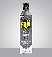 Raid Wasp &amp; Hornet Spray 2-pack pack shot