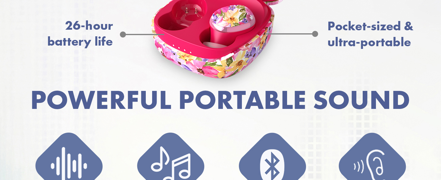 Powerful Portable Sound