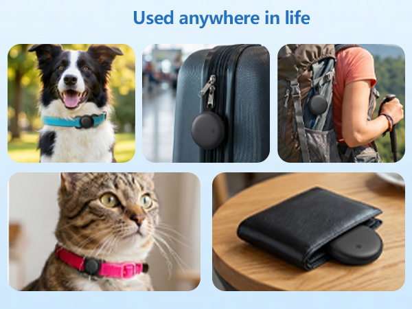 dog tracking collar