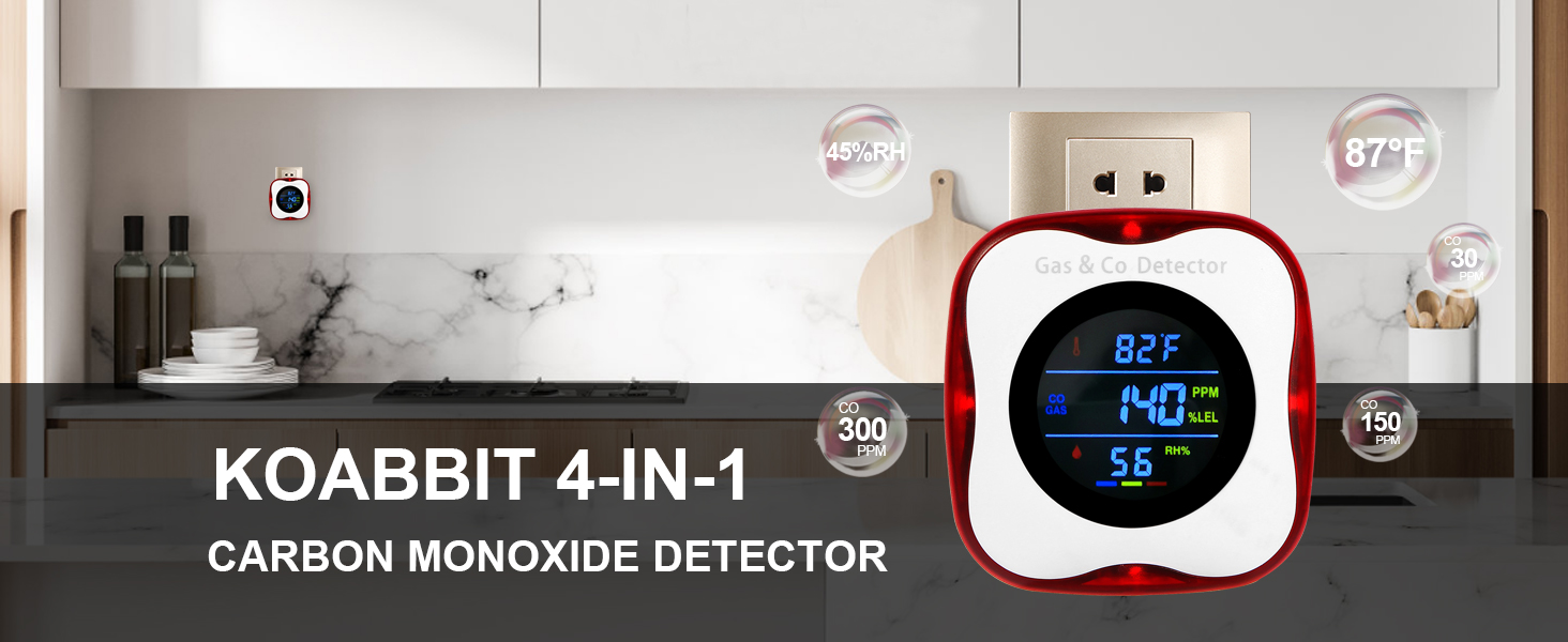 gas and carbon monoxide detector