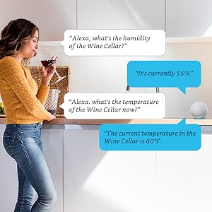 voice control