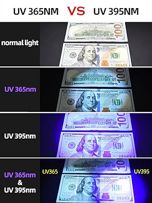 DD-365VS395