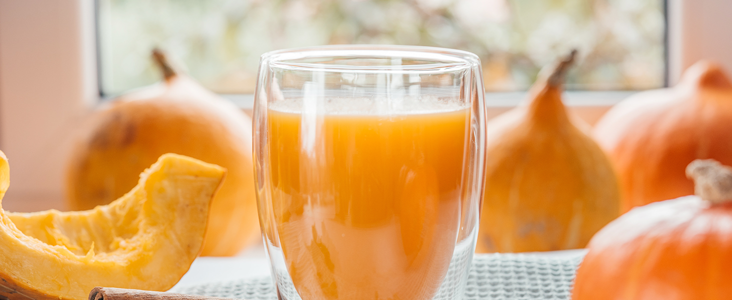 blender for baby food