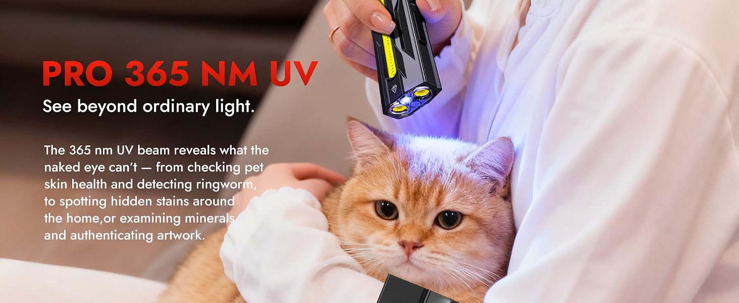 uv flashlight