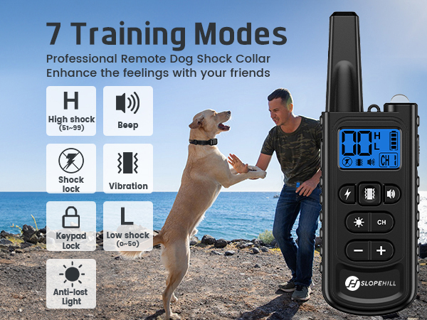 dog shock collar