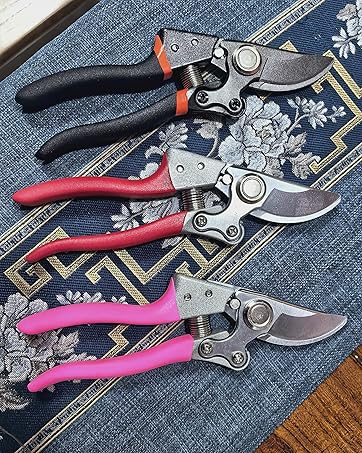Professional Garden Scissors