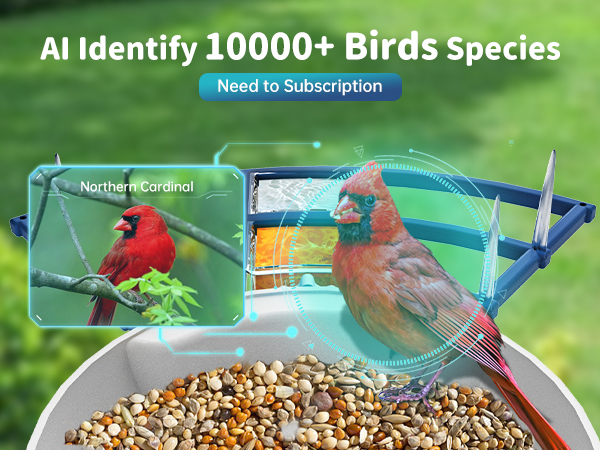 smart bird feeder with ai