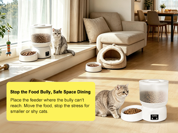 Cordless cat auto feeder better for avoiding the food bully