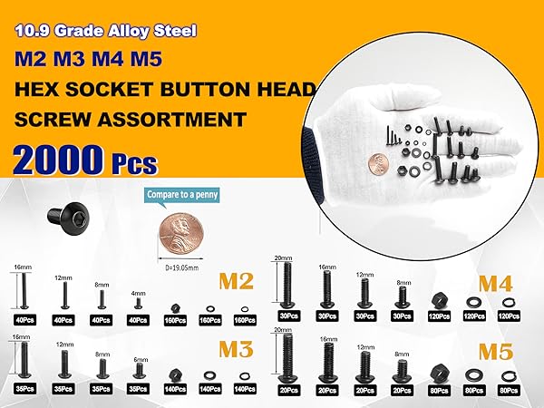 Kadrick Metric Screw Assortment