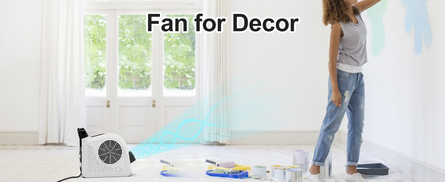 Decoration fan