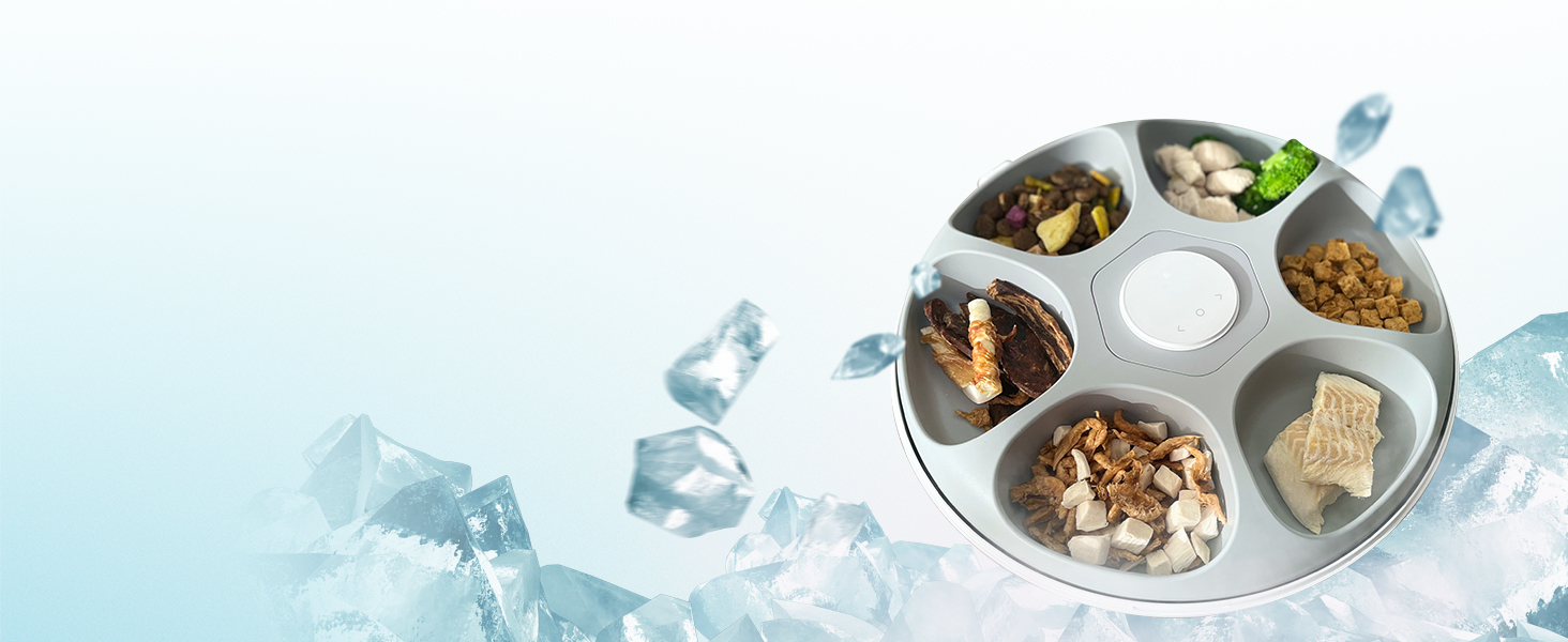 kitty puppy bunny animal house home indoor digital alarms clock voice recorder