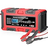 YONHAN Battery Charger 1A/5A/10A 12V/24V Adjustable Current LiFePO4 Car Battery Charger, Battery ...