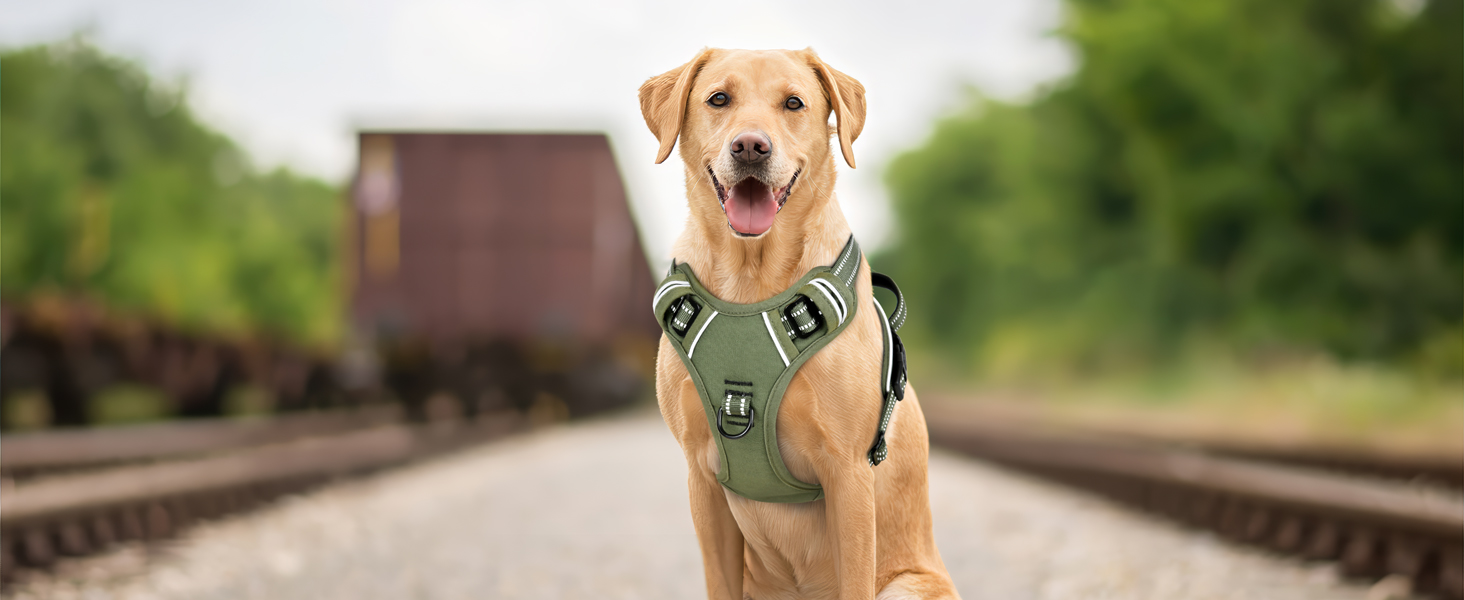 dog harness large size dog