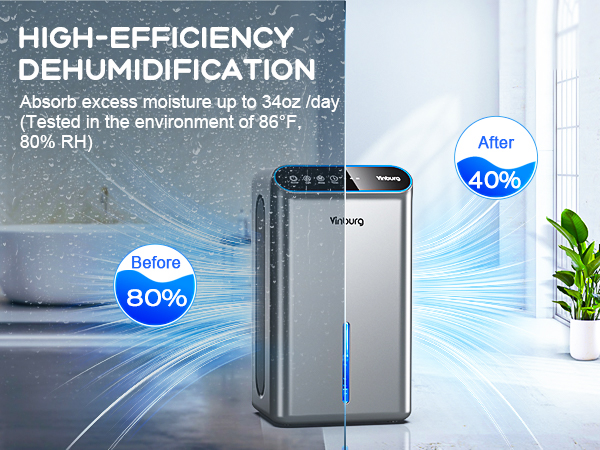 Dehumidifier for Basement