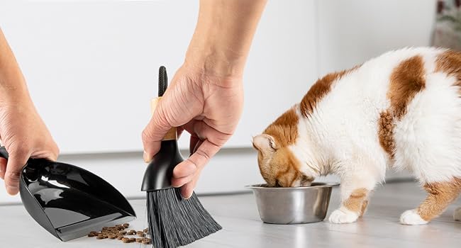 MR.SIGA Bamboo Handle Mini Broom and Dustpan Set