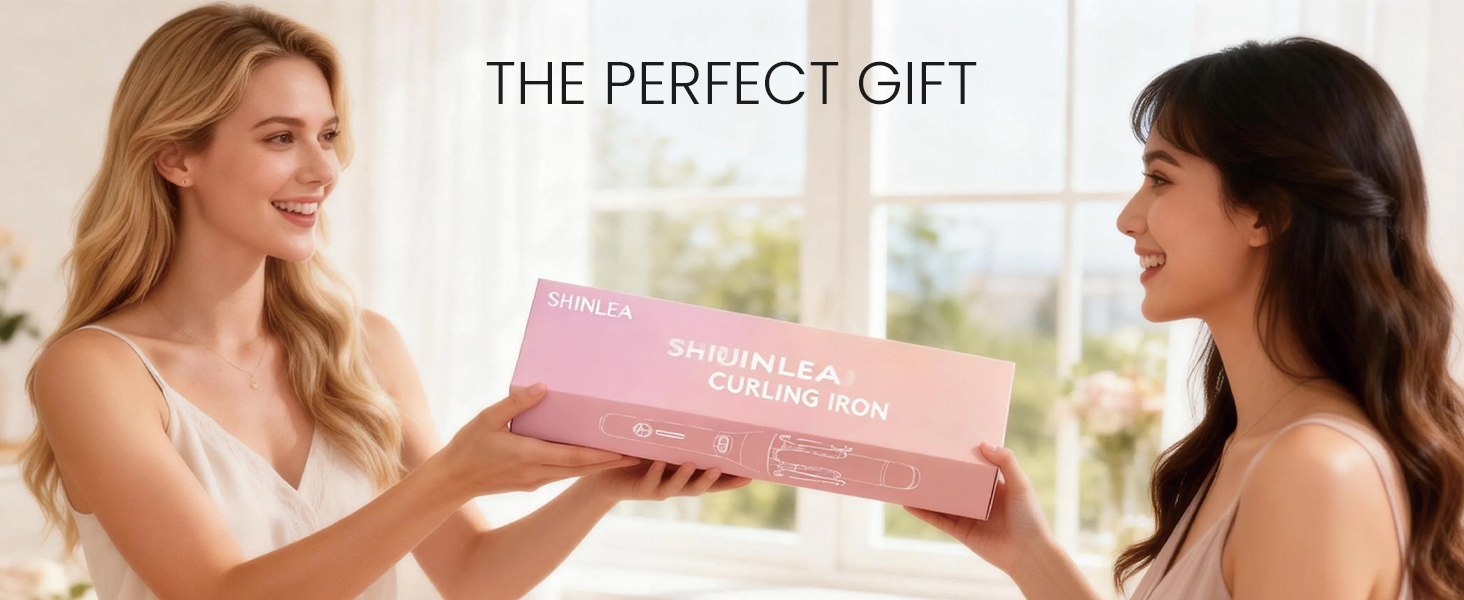 THE PERFECT GIFT