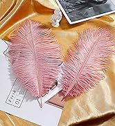 lotus pink ostrich feather