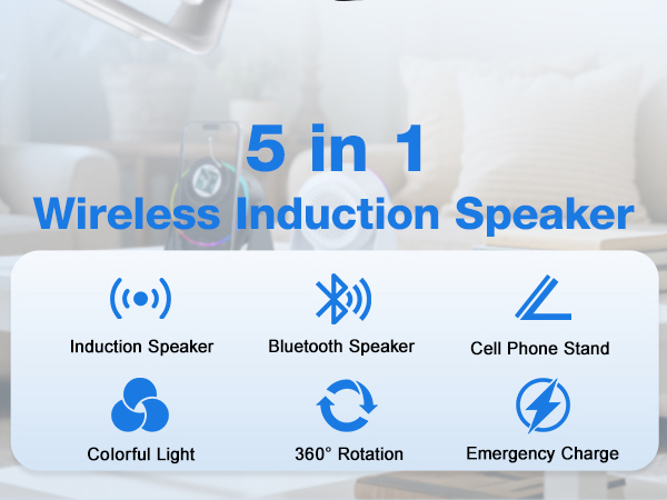 Wireless Induction Speaker