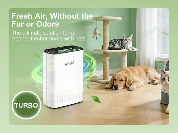 air purifier