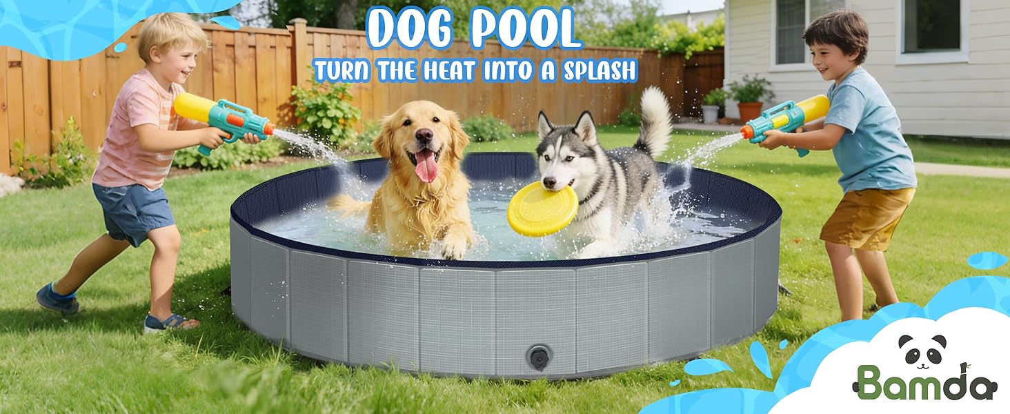 Dog Pool