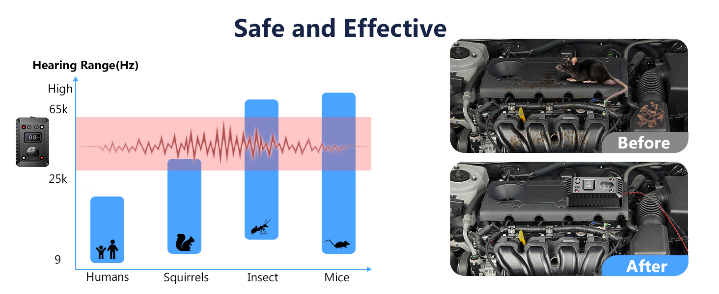 squirrel repellent for car engines