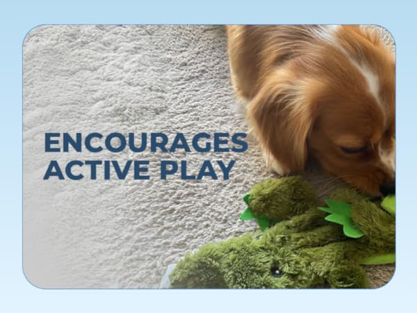 encourages active play