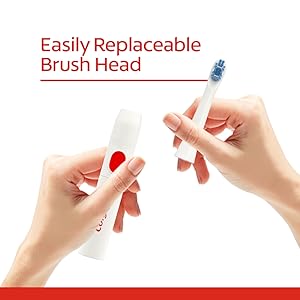 easily replaeable brush head